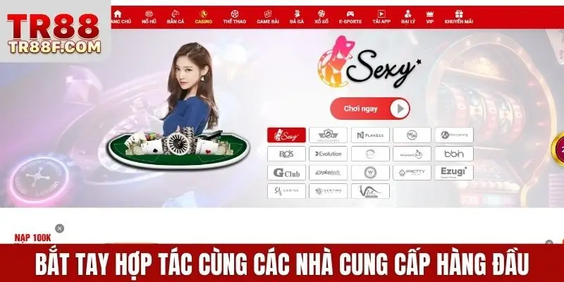 Bắt tay hợp tác cùng các nhà cung cấp hàng đầu
