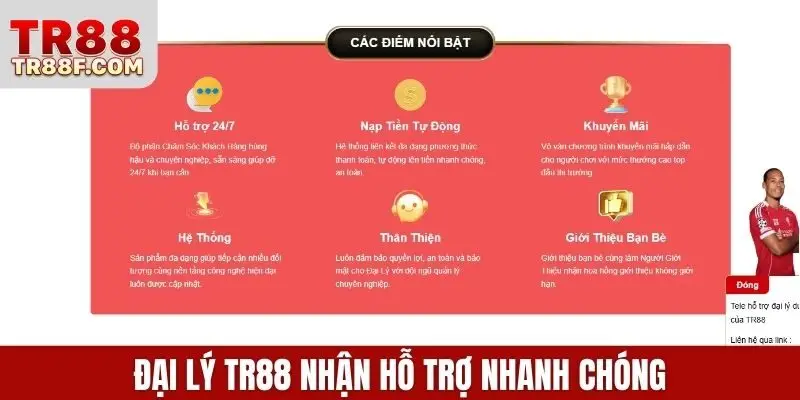 Đại lý TR88 nhận hỗ trợ nhanh chóng
