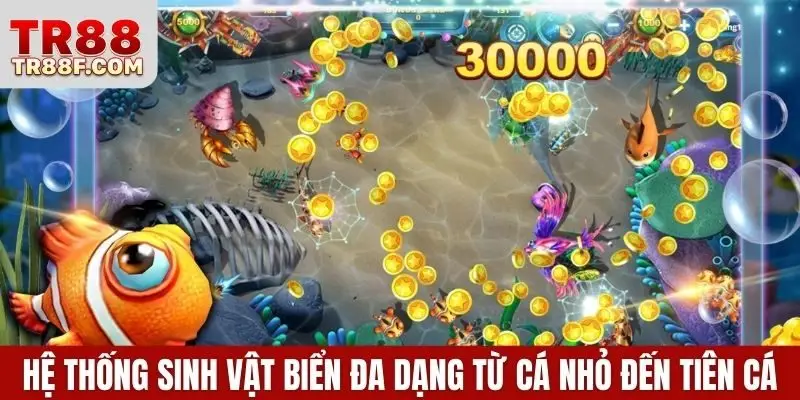 Hệ thống sinh vật biển đa dạng từ cá nhỏ đến tiên cá