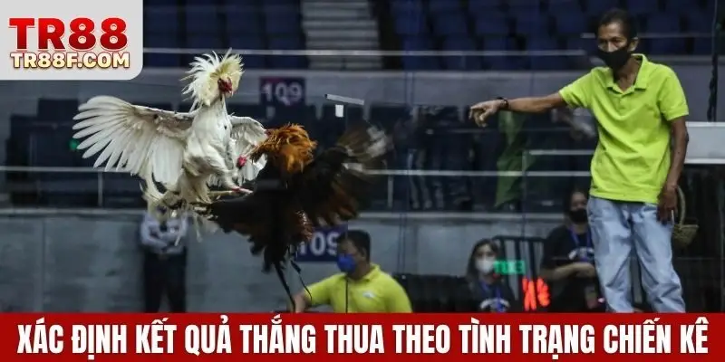 Xác định kết quả thắng thua theo tình trạng chiến kê
